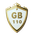 GBMC 国保科技